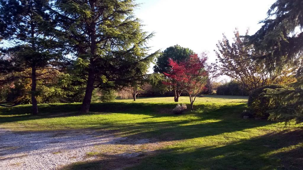 Al Campo Di Sotto Bed & Breakfast Buia Екстер'єр фото